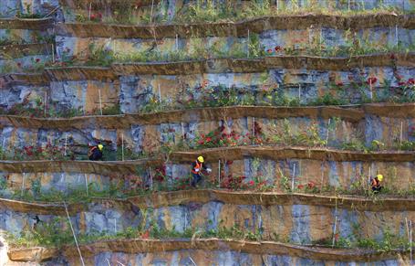 生態(tài)修復成效顯 樓梯山上披彩妝