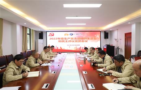 廖立波、唐峰、何勇以普通黨員身份參加所在黨支部2022年度組織生活會(huì)